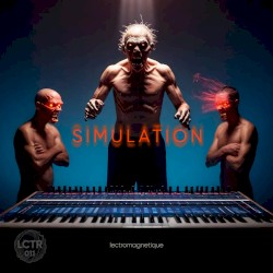 Simulation