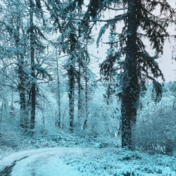 An Old Friend Resurfaces After Ten Years