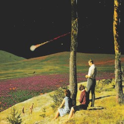 Sentient Sunsets & Frail Night Shades