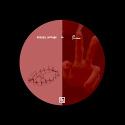 SCENES_RECORDER VS. POLYSCIA