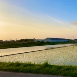 生まれただけ。