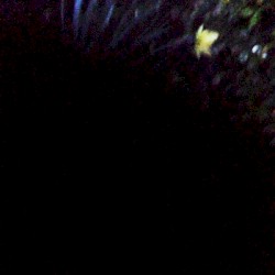 Slow Fire Volumes 3 & 4