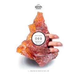 Wasted So Much Of My Life