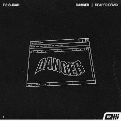 Danger (REAPER remix)