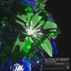 Bloom at Night