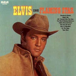 Elvis Sings Flaming Star