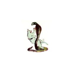 The Cat and the Cobra