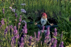 We're the Lively Toys of Transhuman Gnomes