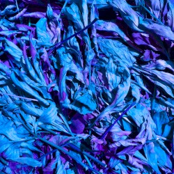 High Tension Operator