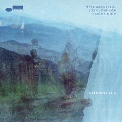 Openness Trio