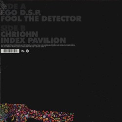 Fool The Detector
