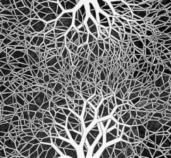 Grouper / City Center