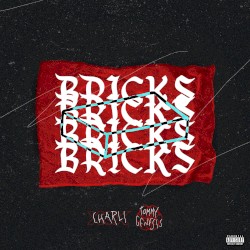 Bricks