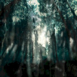 Numinous Tapes I