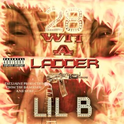 28 Wit a Ladder