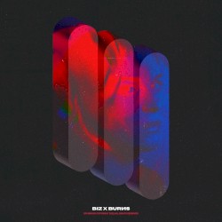 BIZ X BURИS