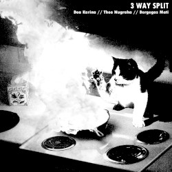 3 Way Split