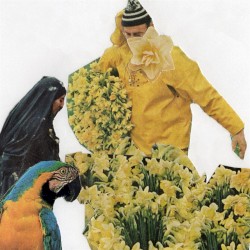 old beats | Throwaways.