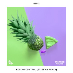 Losing Control (Stisema Remix)