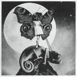 The Girl and the Chameleon