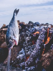 The Last Campfire God Has Lit Yesterday Morn in Her Vicarious Nightmares