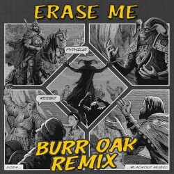 Erase Me (Burr Oak remix)