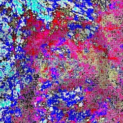 ね