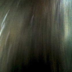 Ravished by Gargantuan Anxiety