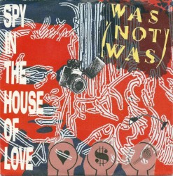 Spy in the House of Love