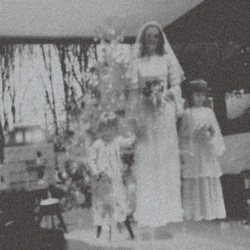 A Forest (For Invisible Children)