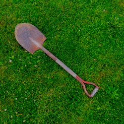 Encounter / Overworld