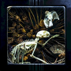 Ashes to Dust (The Early Years 2014)