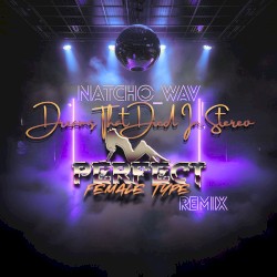 Dreams That Died In Stereo (Perfect Female Type Remix)