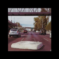 Between Blankets and Water Lilies