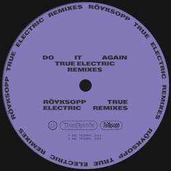 Do It Again [True Electric Remixes]