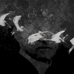 Phenomenon of Combination