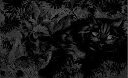 Untitled (Demo 2024)