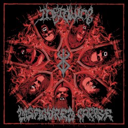 One Two Three Four We Are Vampires