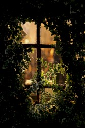 De lamentatione Jeremiae prophetae a 5 (Reinterpreted)