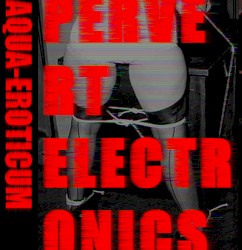 Pervert Electronics