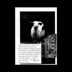 The Surgeon Was a Butcher