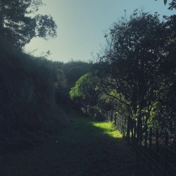 In Front of Me (demo)