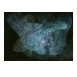 Ett kluster av maneter