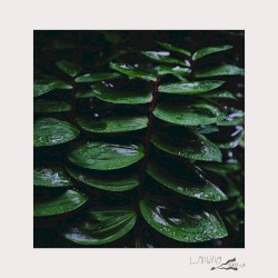 Bi-Monthly Subscription Series 12