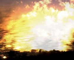 natural yellow fire yellow