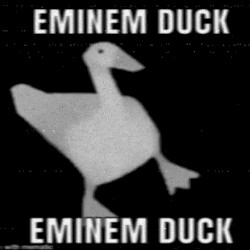 deep in radeline's inescapable meme folder - stage 1