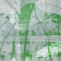 Perception Received / Milestone