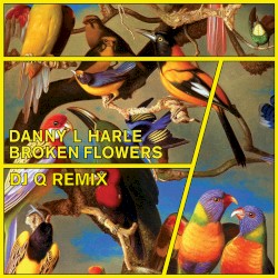 Broken Flowers (DJ Q remix)