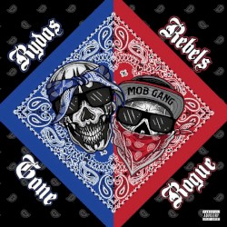 Rydas Rebels: Gone Rogue