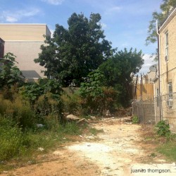 That Definitely Did Destroy Me